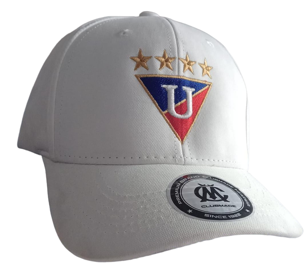 Vista previa 1 de Gorra Corporativa con Bordado Personalizado