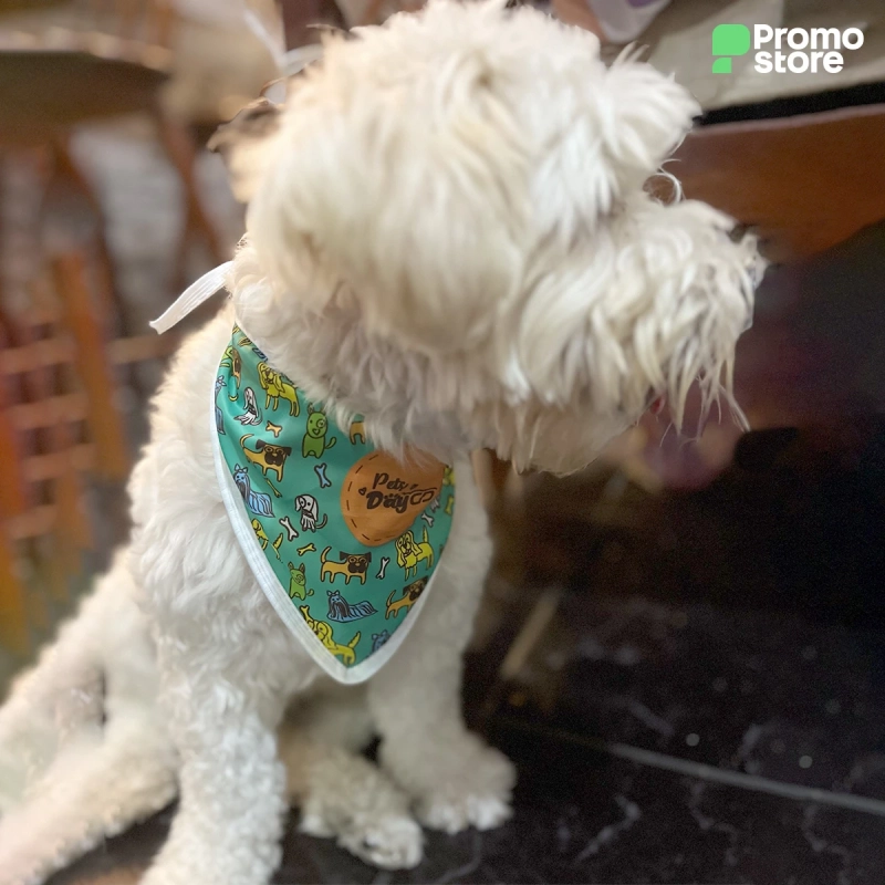Vista previa de Pañuelo para mascotas 2