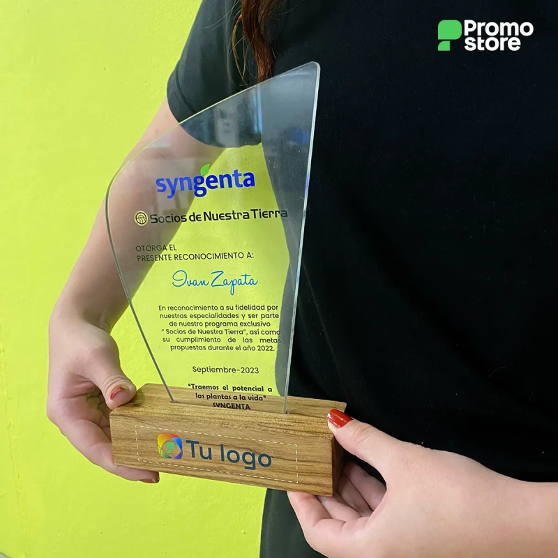 Vista previa de Placa de reconocimiento Vip 2