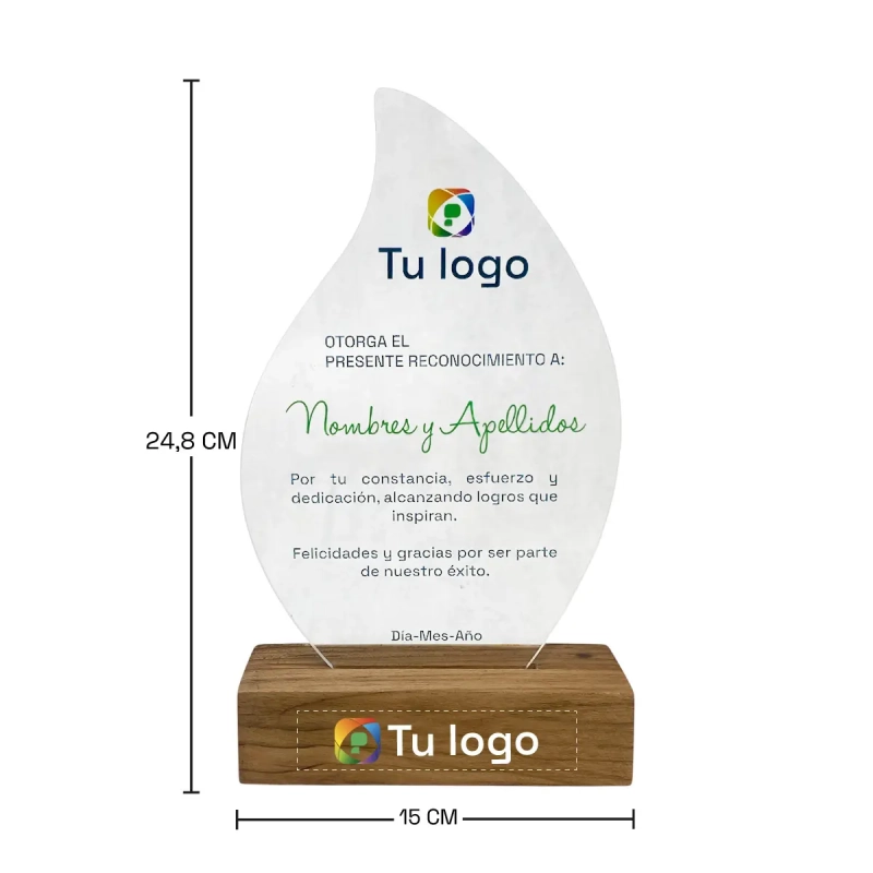 Vista previa de Placa de reconocimiento Vip 3