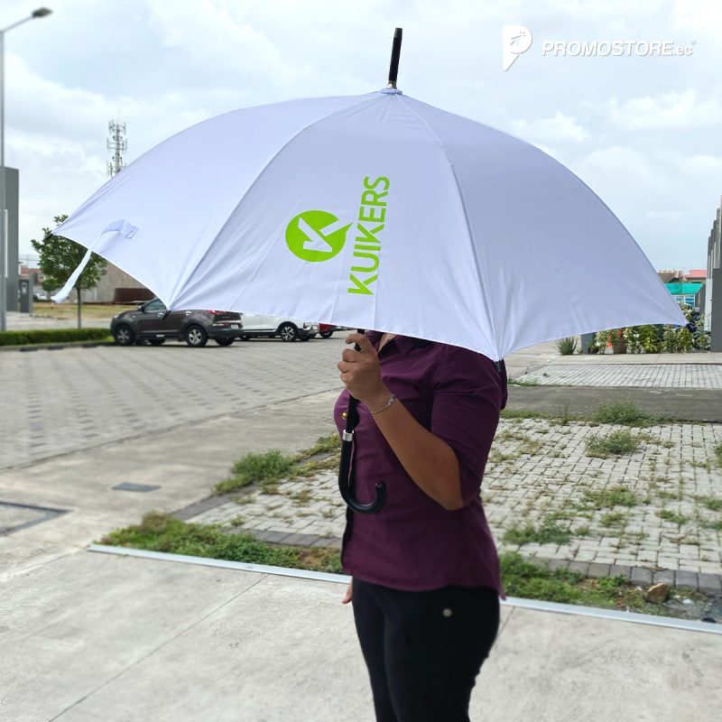 Vista previa de Paragua rain 2