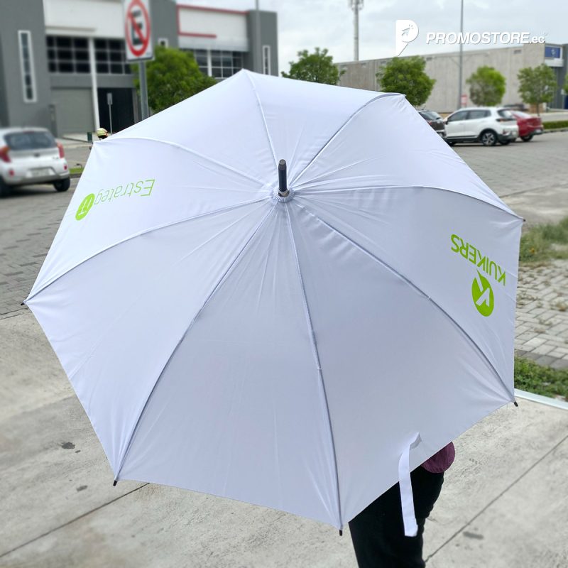 Vista previa de Paragua rain 4